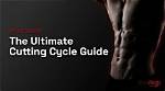The Ultimate Guide to the Cycle of Life: Born, Died, Welcome Back