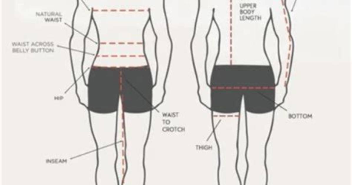 The Ultimate Guide to Torso-to-Leg Ratio for Optimal Body Composition