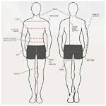 The Ultimate Guide to Torso-to-Leg Ratio for Optimal Body Composition