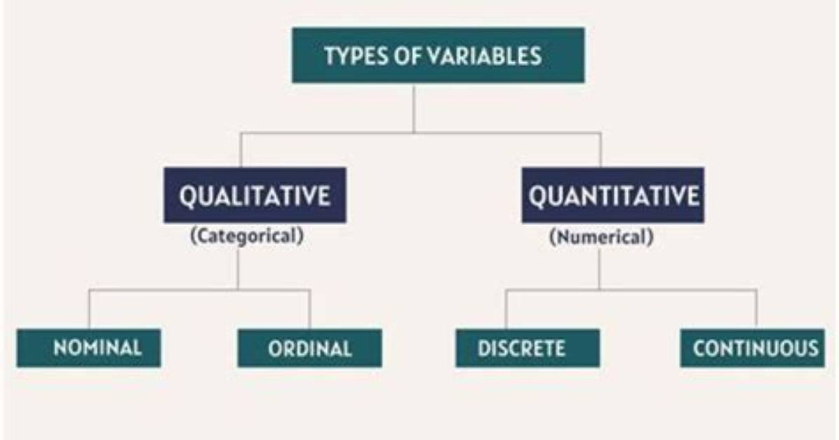The Ultimate Guide to Understanding Ordinal Variables: Types, Uses, and More