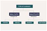 The Ultimate Guide to Understanding Ordinal Variables: Types, Uses, and More