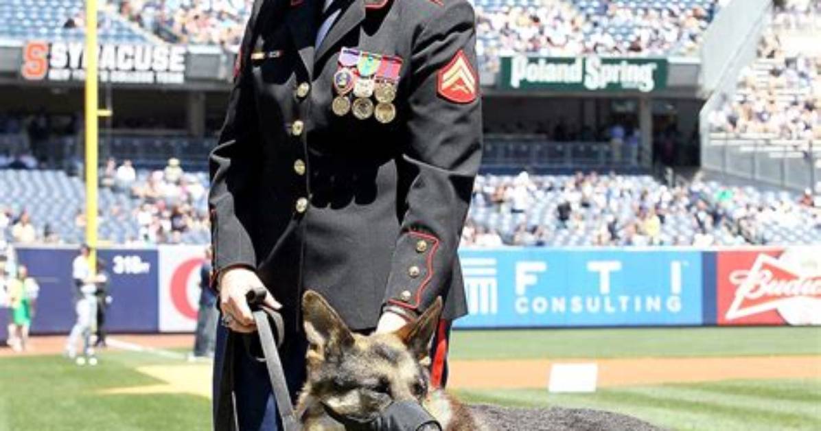 The Unsung Hero Behind Megan Leavey: Uncovering Her Husband's Role