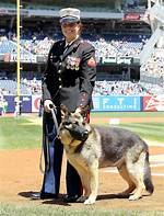 The Unsung Hero Behind Megan Leavey: Uncovering Her Husband's Role