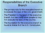 Ultimate Guide: Executive Branch Responsibilities Unveiled