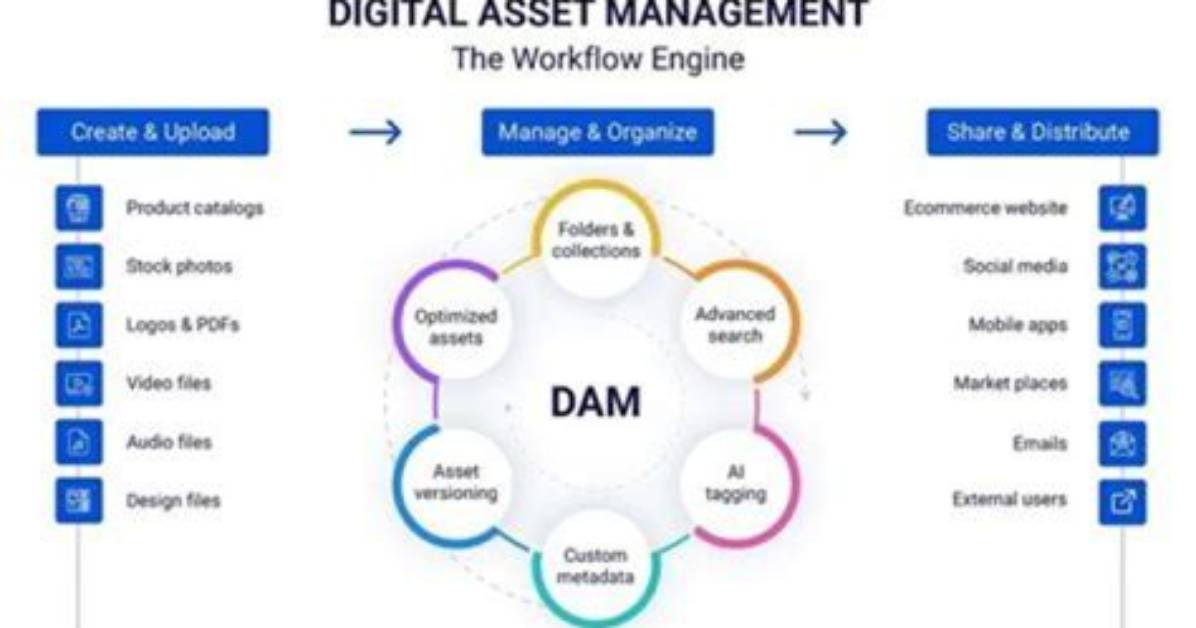 Ultimate Guide to Damr: Exploring the Dynamics of Digital Asset Management