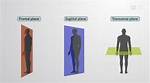 Ultimate Guide to Sagittal Vs. Midsagittal: Understanding the Anatomical Plane Distinction