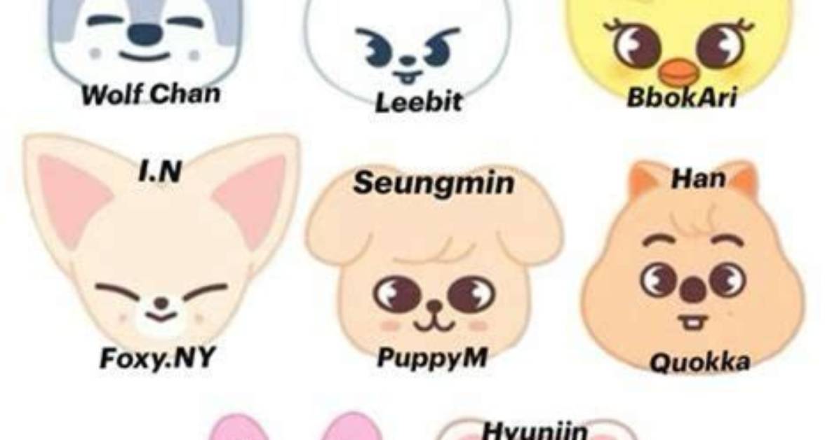 Ultimate Guide to Stray Kids Skzoo Names: Origins and Meanings