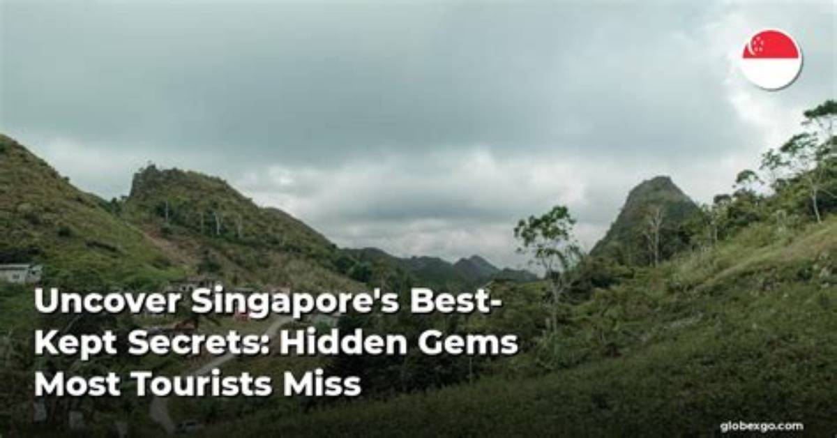 Uncover Hidden Truths and Local Gems