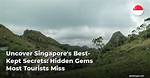 Uncover Hidden Truths and Local Gems