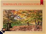Uncover the Defining Traits of Temperate Deciduous Forests