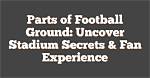 Uncover the Secrets: Lions Fan Text Unveiled