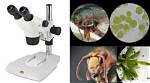 Uncover the Secrets of Biology with Advanced Dissection Microscopes