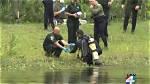 Uncovering the Truth: Tristyn Bailey's Discovery Unveils Crucial Details