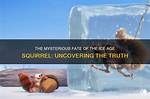 Uncovering the Youthful Reign: the Mysterious Age of Young Pharaohs