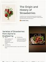 Understand the Origins of Strawberries: Etymology Unveiled