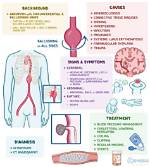 Understanding Adria Height Illness: Causes, Symptoms, and Treatment