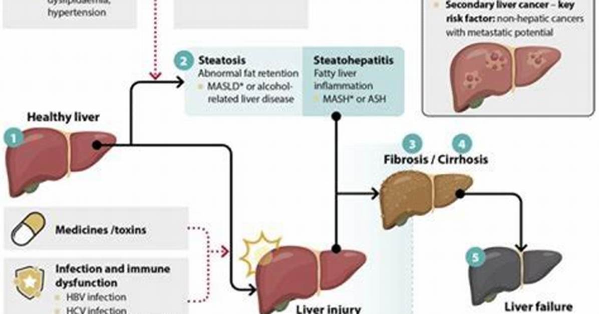 Understanding Mouth Sores and Elevated Liver Enzymes: Causes and Treatment