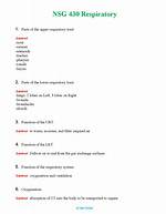 Understanding Newborn Respiratory: a Comprehensive Guide to Normal Breathing
