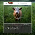 Unforgettable Mistake: Cow Given Offensive Name