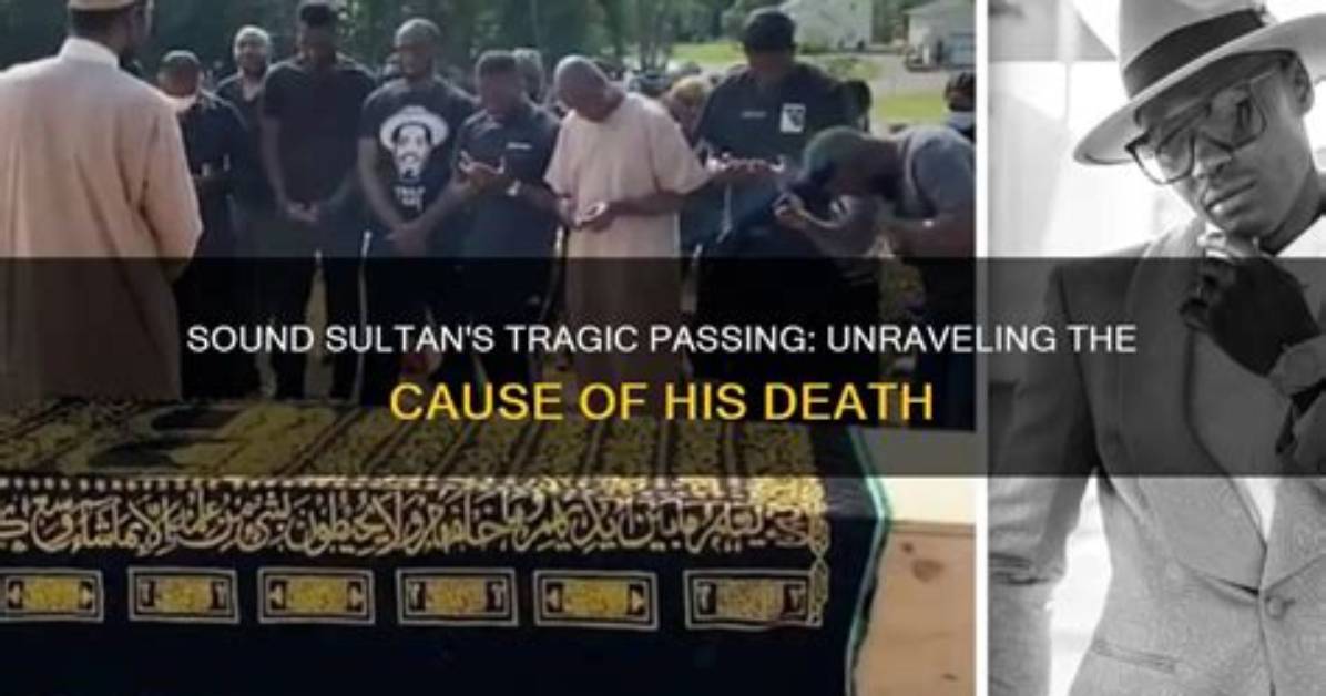 Unraveling the Cause of His Untimely Death