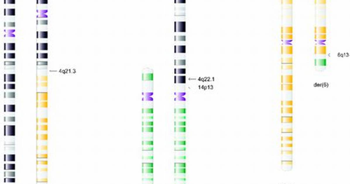 Unraveling the Chromosomal Blueprint: Uncovering the Number of Chromosomes in a Human Body Cell