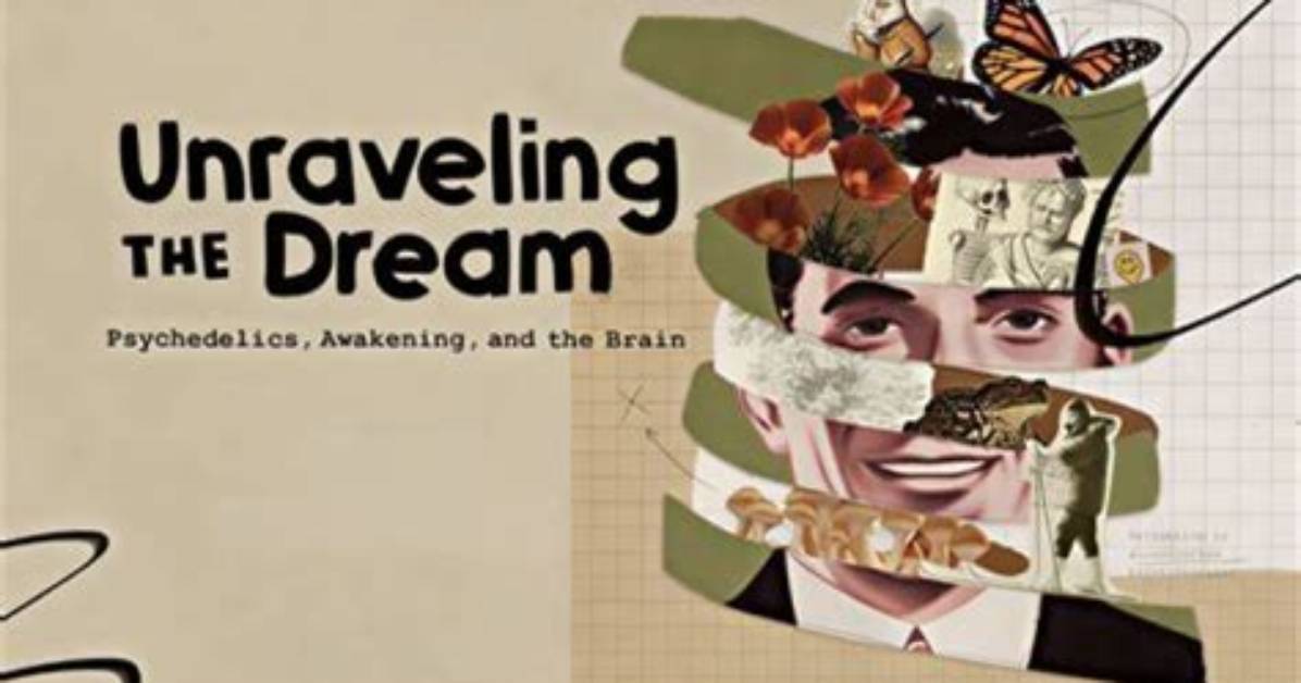 Unraveling the Truths and Uncovering the Reasons