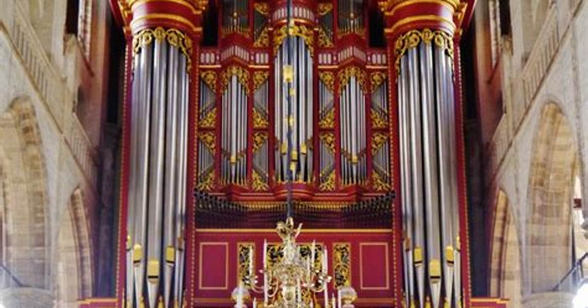 Unveiling the Astonishing: Discover the Largest Organ in the Human Body
