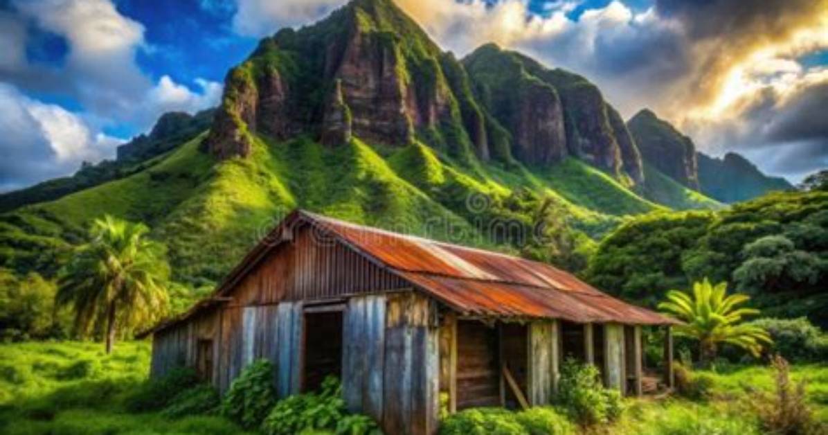 Unveiling the Closer Neighbor of Hawaii: the Us or Japan