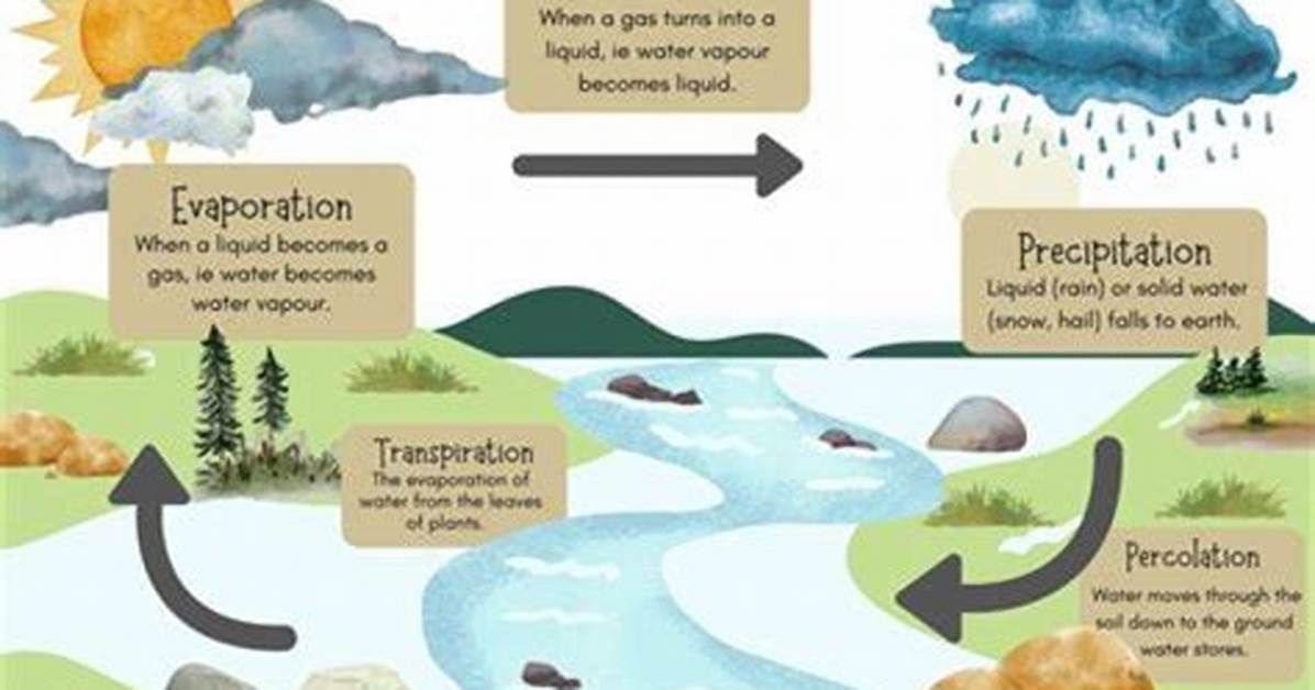 Unveiling the Consequences: Exploring a Water Cycle Without Condensation