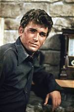 Unveiling the Extraordinary World of Michael Landon: Discoveries and Insights