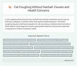 Unveiling the Hidden Causes: Cat Coughing Without Hairballs