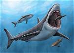 Unveiling the Megalodon's Enigma: Groundbreaking Discovery in 2024