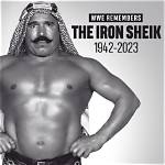 Unveiling the Riches of the Iron Sheik: Net Worth Secrets Revealed