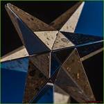 Unveiling the Rise of a Multifaceted Star