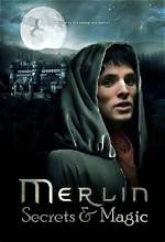 Unveiling the Secrets of Jan Merlin's $5 Million Net Worth