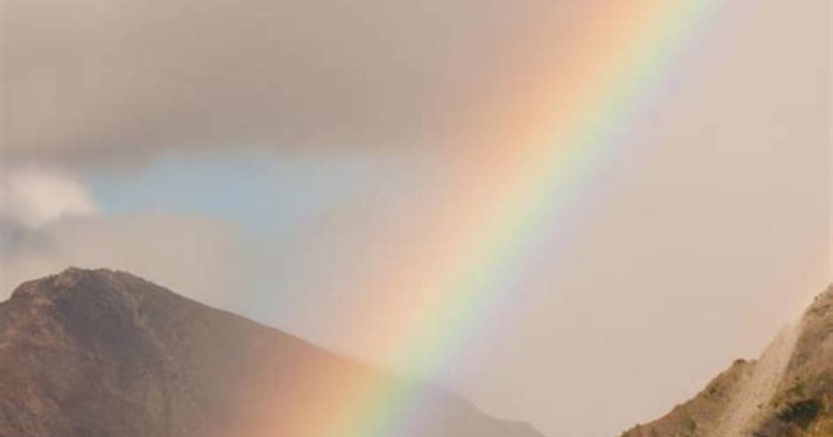 Vibrant Hues of the Rainbow: Exploring the Colours of the Days