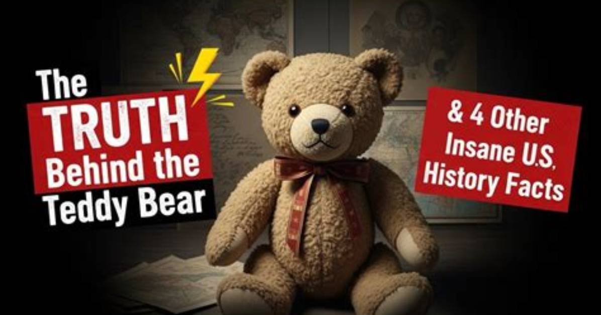 Was Teddy Behind Bars? the Truth About His Imprisonment