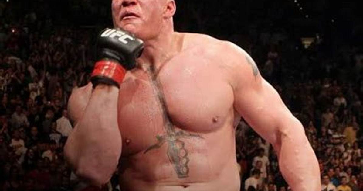What Is Brock Lesnars Ufc Record? Did He Becomechampion?