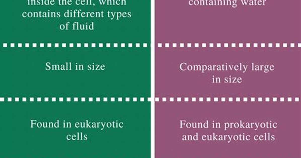 What Is the Difference Between Vesicle and Vacuole