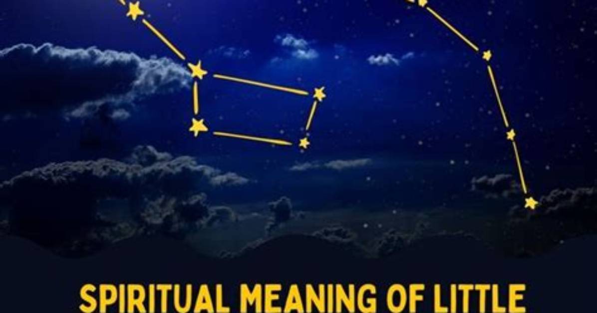 What Is the Meaning of a Little? Definition and Examples