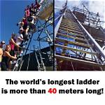 What Is the Tallest Step Ladder You Can Buy?