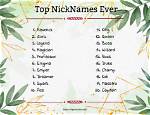 Which Nicknames Does Nick Have?