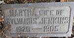 Who Is Martha Jenkins? Details to Know About Mo Brooks Wife