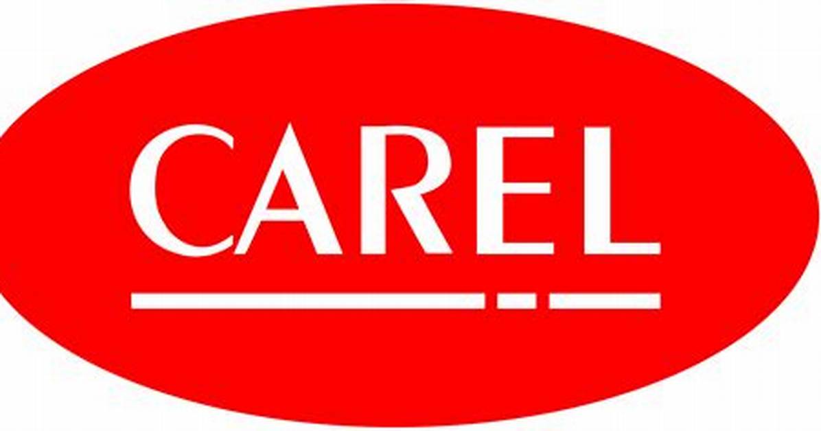 Who Is Nancy Carel? | Nancy Carel's Biography