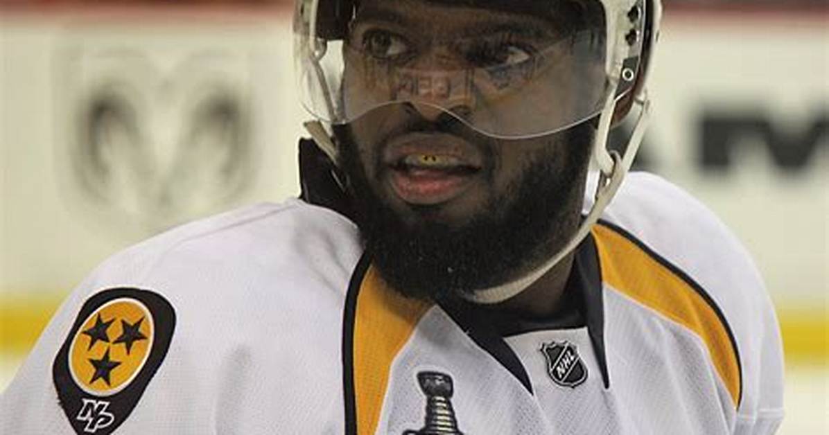 Who Is Reaghan Subban, P. K. Subban's Brother?