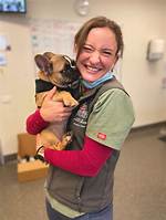 Who Was Sophie Putland Vet? Death Cause & Wiki Family