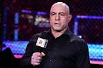 Why Joe Rogan Is Absent from Ufc 293: the Reason Revealed