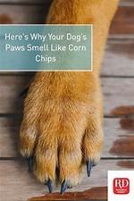 Why Your Body Smells Like Corn Chips: a Comprehensive Guide