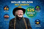 Willie Nelson's Net Worth in the 1990S: a Detailed Look