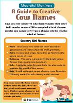 Wisconsin Cows: Unique and Meaningful Names for Your Bovine Friends